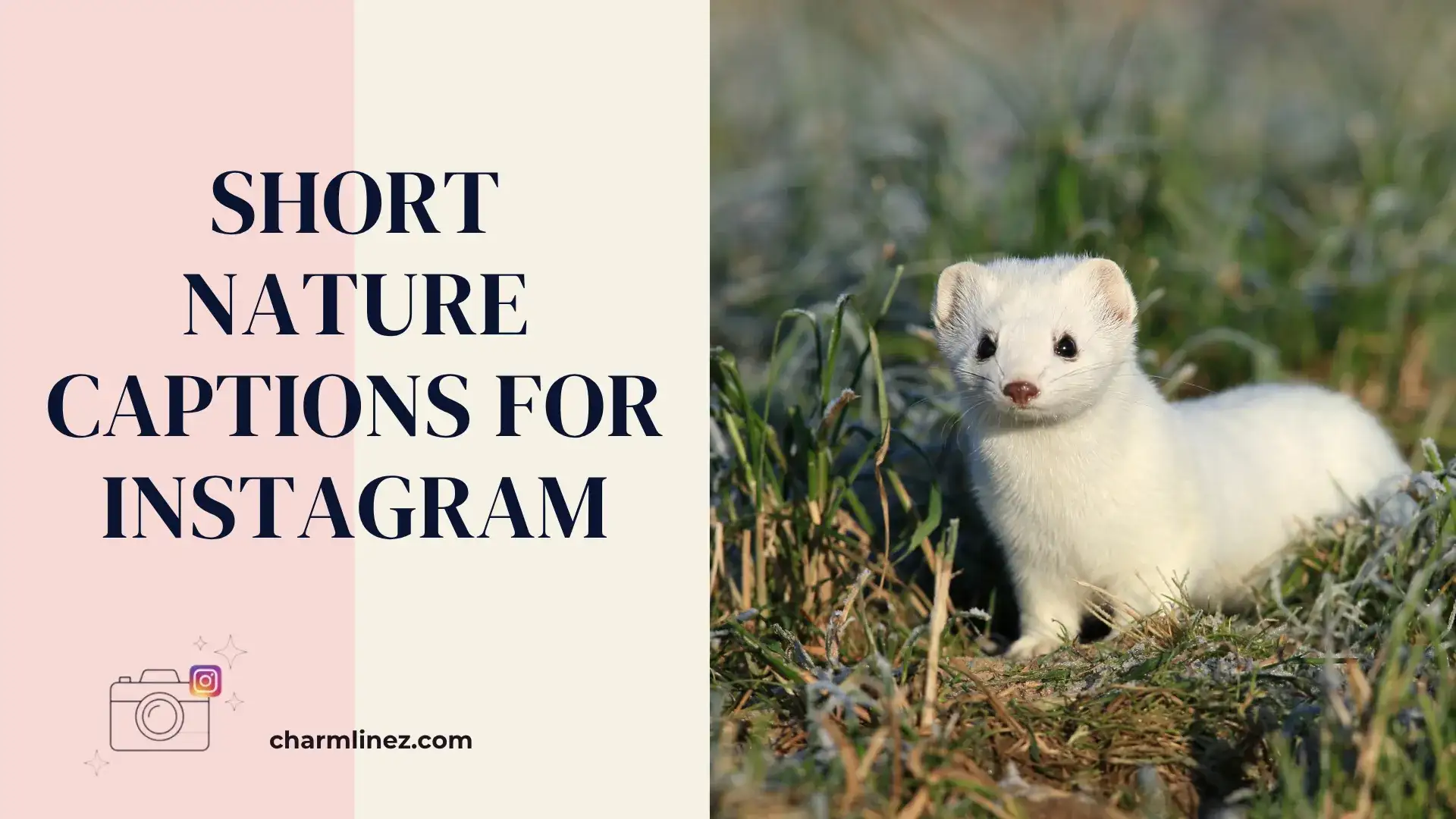 short nature captions for instagram